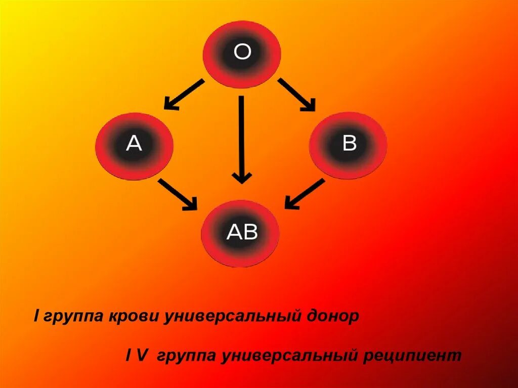 Универсальные доноры и реципиенты крови. Реципиент 1 группы крови. Донором и реципиентом 1 группа крови. Универсальный донор и реципиент группа крови. Универсальный донор группа крови.