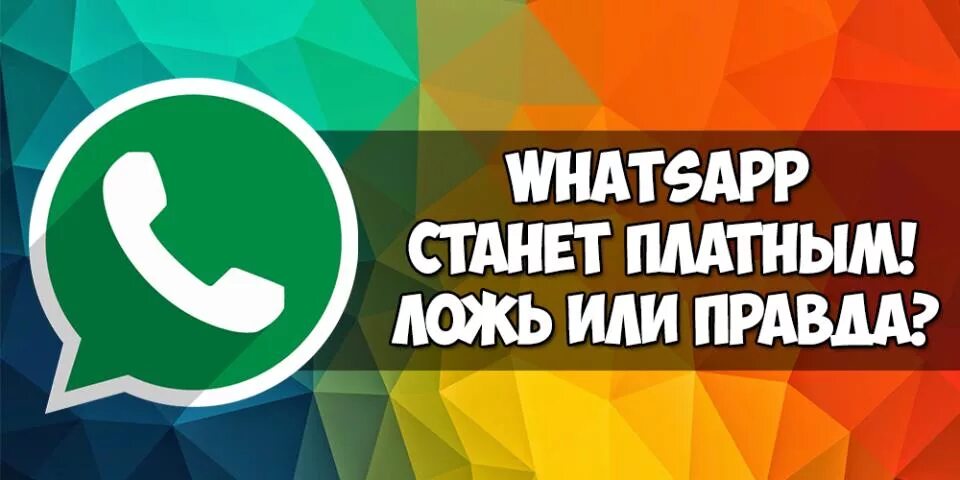 Whatsapp стал белым. WHATSAPP платный. Вацап станет платным. Ватсап будет платным. Станет ли ватсап платным.
