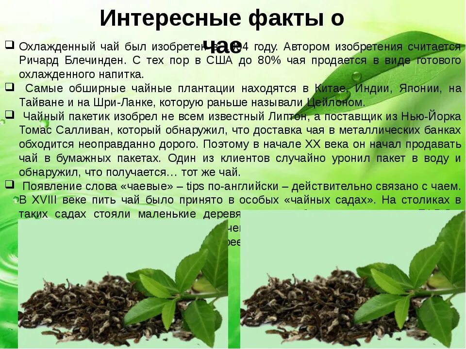 2 дня на чае