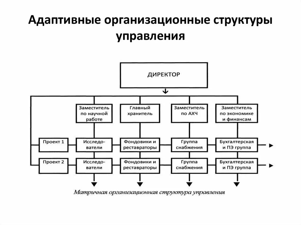 Какие типы организационных структур. Адаптивный Тип организационной структуры. Адаптивные организационные структуры управления. Адаптивная организационная структура схема. Адаптивный Тип организационной структуры управления.