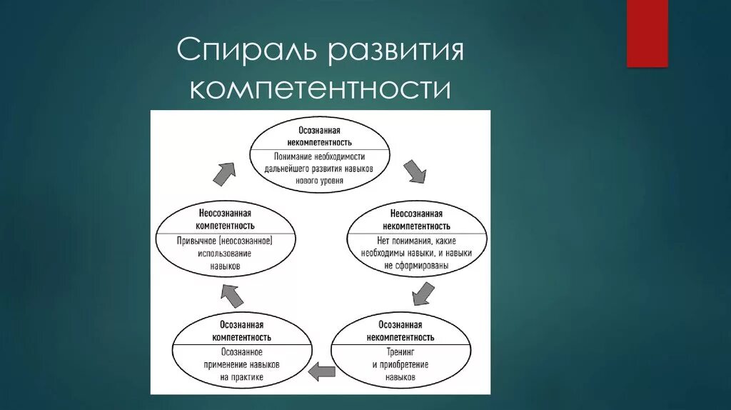 Спираль развития компетентности. Осознанная некомпетентность и неосознанная компетентность. Совершенствование компетенций. Теории формирования компетенций. Проявить некомпетентность