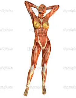 Передняя женщина