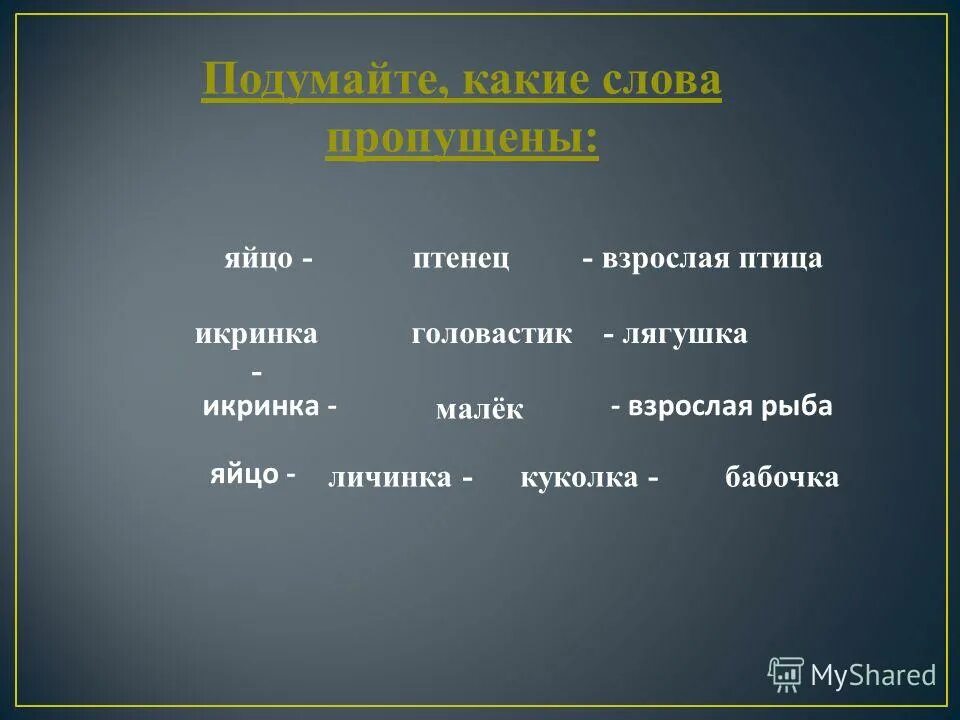 икринка взрослая лягушка какое слово пропущено. личинка куколка малек головастик определение.