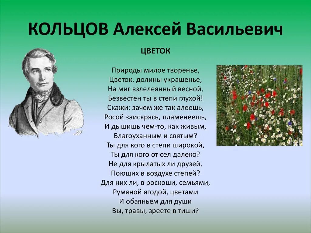 Проект по литературному чтению праздник поэзии. Природы милое творенье цветок Долины украшенье Кольцов. Проект по литературе о весне.