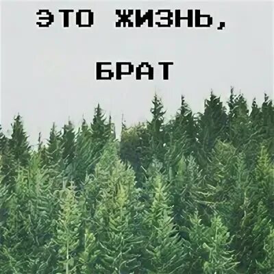 Такая жизнь. Жил мой брат. Брат. Стихи про брата до слез. Картинка про жизнь брат.