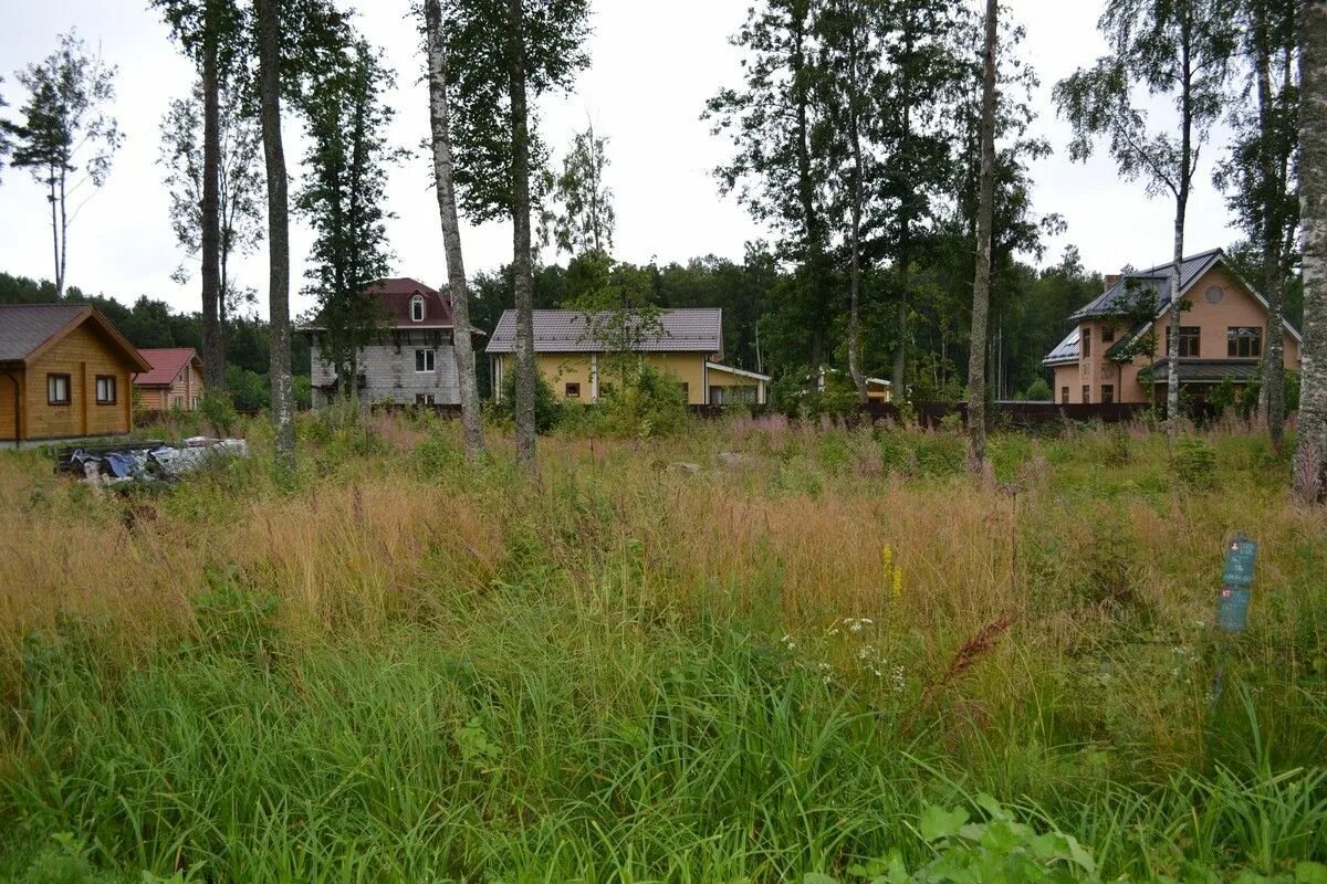 Снт озерки. Город гдув село чудские заходы. Поселок озерки фото. Участок озерки. Участки озерки.