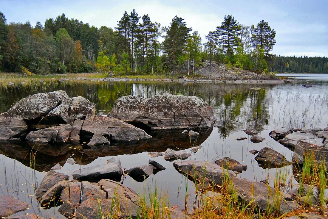 Природные ресурсы ленобласти. Шуваловский парк улица шишкина. Природные ископаемые. Природные ресурсы петербурга. Роль природных ресурсов в экономике.