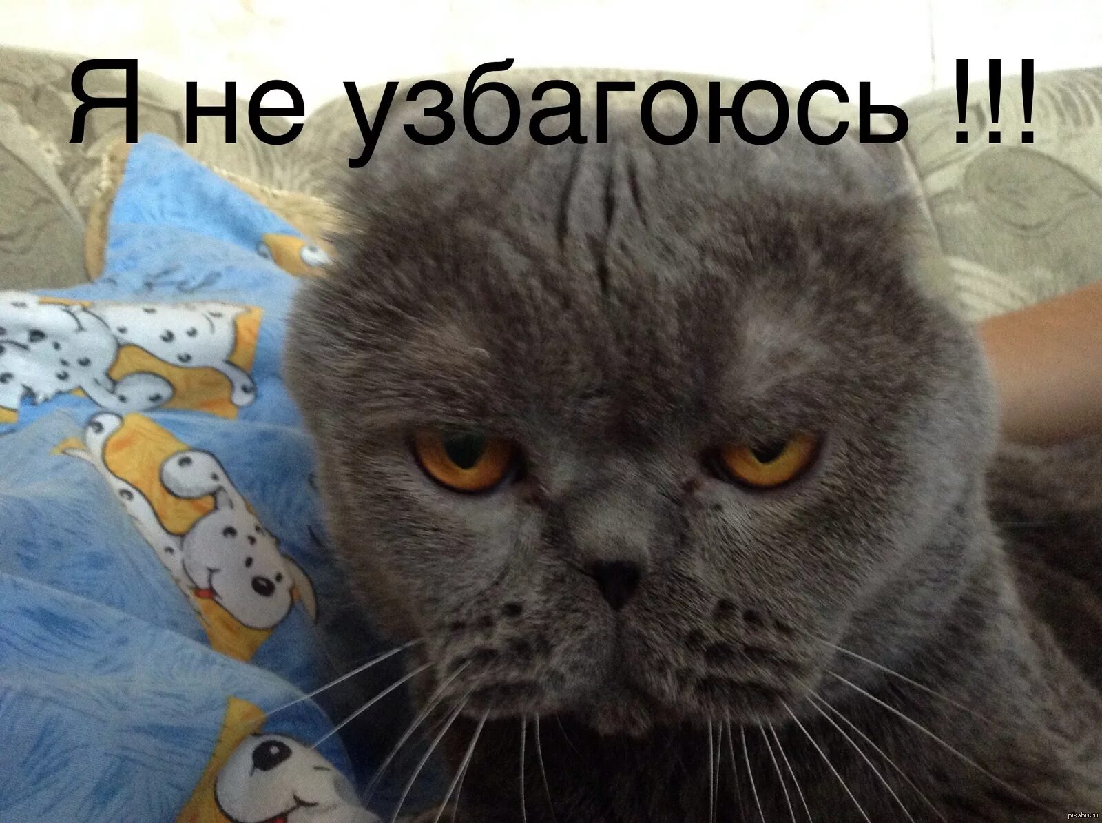 Злое утро