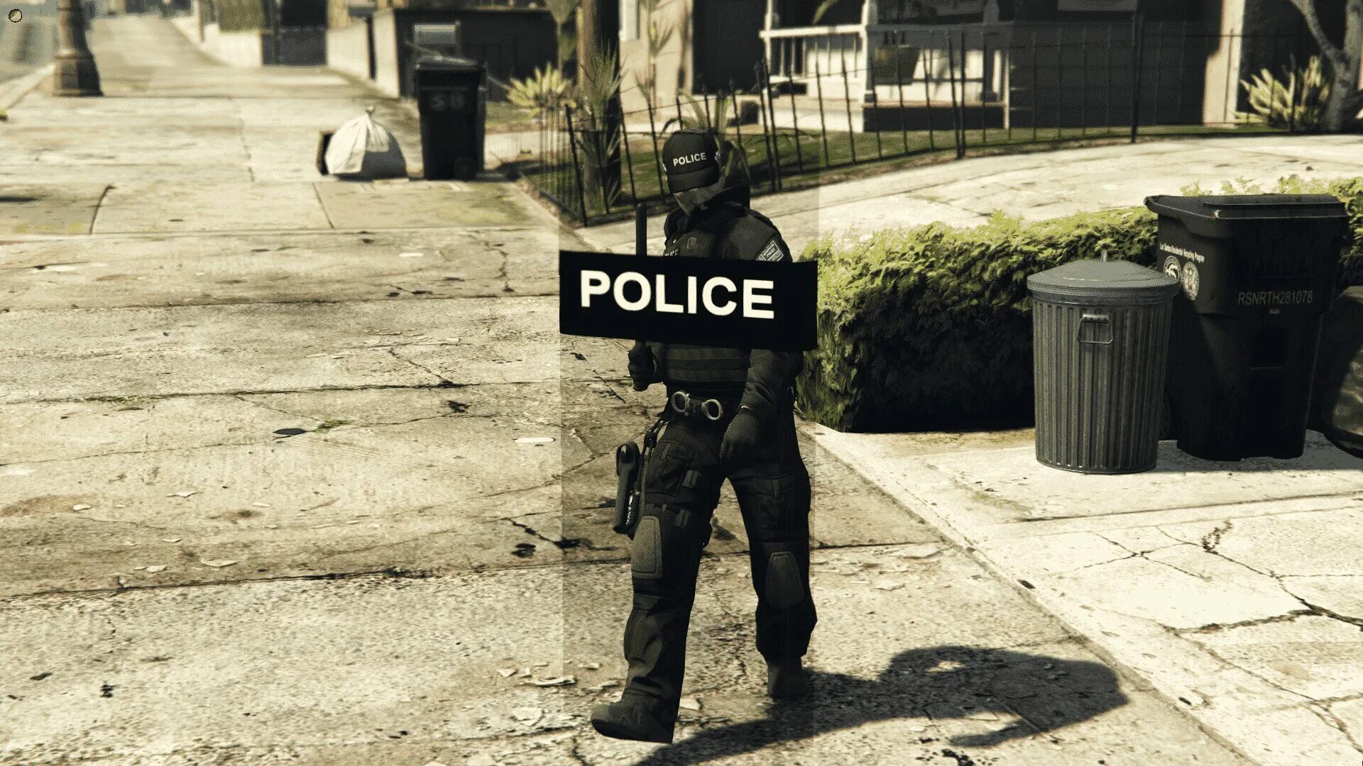 Police system