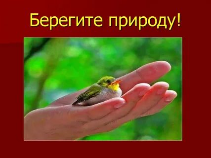 Беречь красный