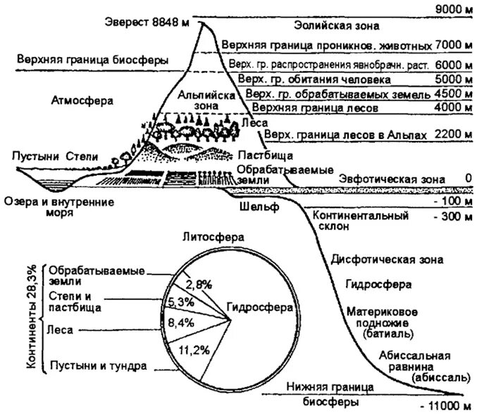 Биосфера и человек тест 6 класс