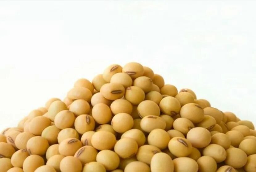 Соя дони. Соя приготовление. Соевые бобы. Soy beans. Соевые бобы.