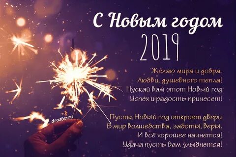 День коллег 2019