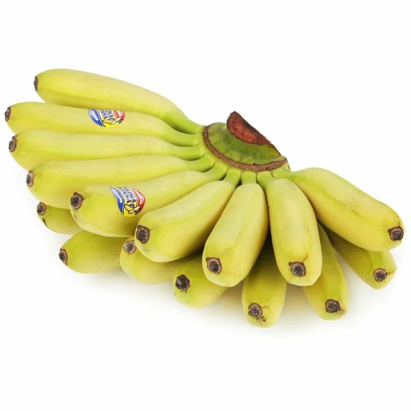 Где купить банан. Бананы Эквадор мини 0.8-1.2 кг. Бананы, Эквадор, 1кг. Банан и мини банан. Мини бананы Эквадор.