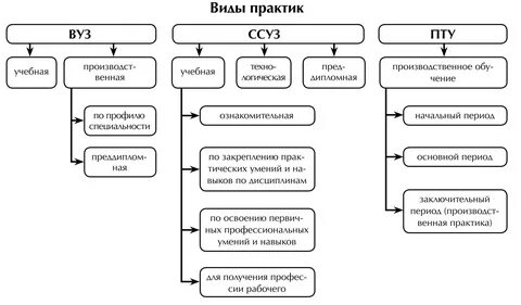 Виды практики реферат