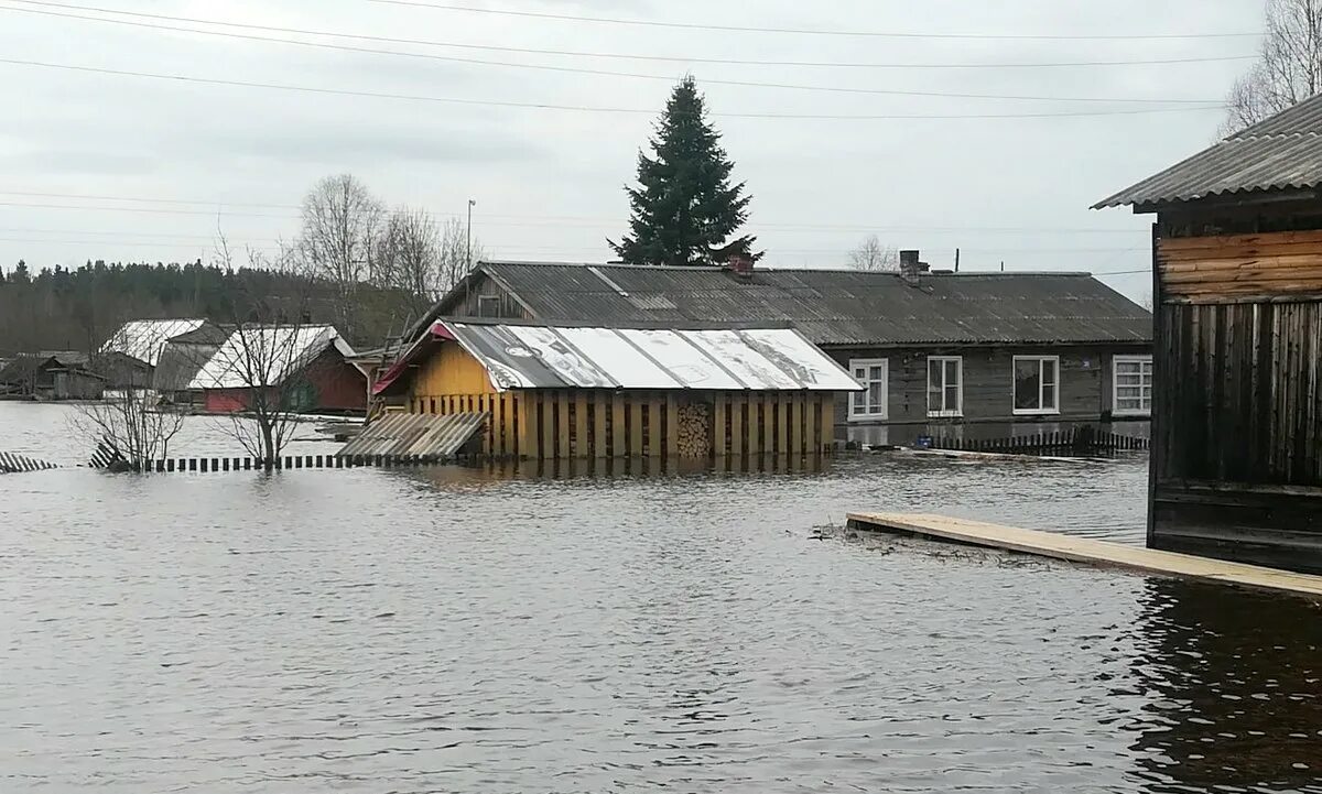 Уровень воды в ваге на сегодня. Устьянский район Архангельской области. Наводнение в Архангельской области. Река устья Архангельская область Устьянский район. Кидюга Устьянский район Архангельская область.