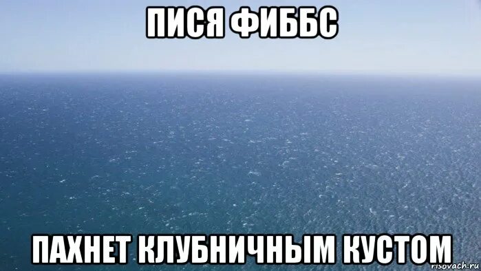 Как пососать самому себе. Мем про тихий океан. Океан Мем. Мемы про океан. Мем тихий океан знаешь.