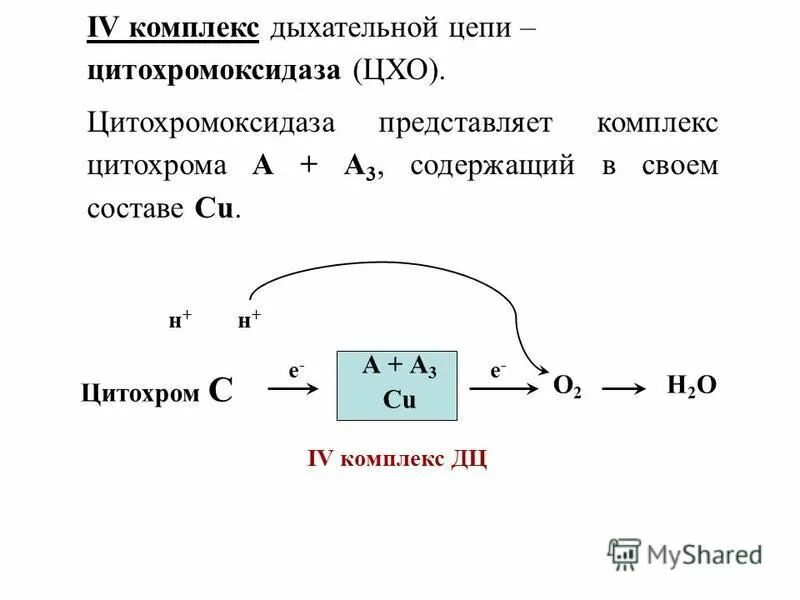 Таблетки от гайморита синупрет. Клеточное питание гербалайф. Поливитаминные препараты фармакология. Содержит в своем составе комплекс. Содержит в своем составе комплекс.