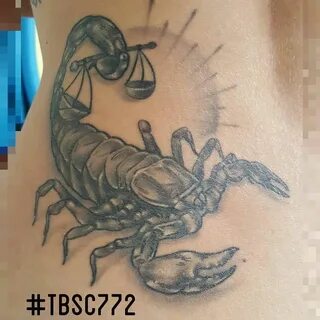 Well scorpion