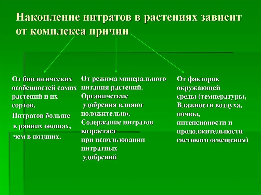 Нитриты опаснее. Накопление нитратов в растениях. Накопление нитритов в растениях. Причины накопления нитратов в растениях. Накопление нитратов в овощах.