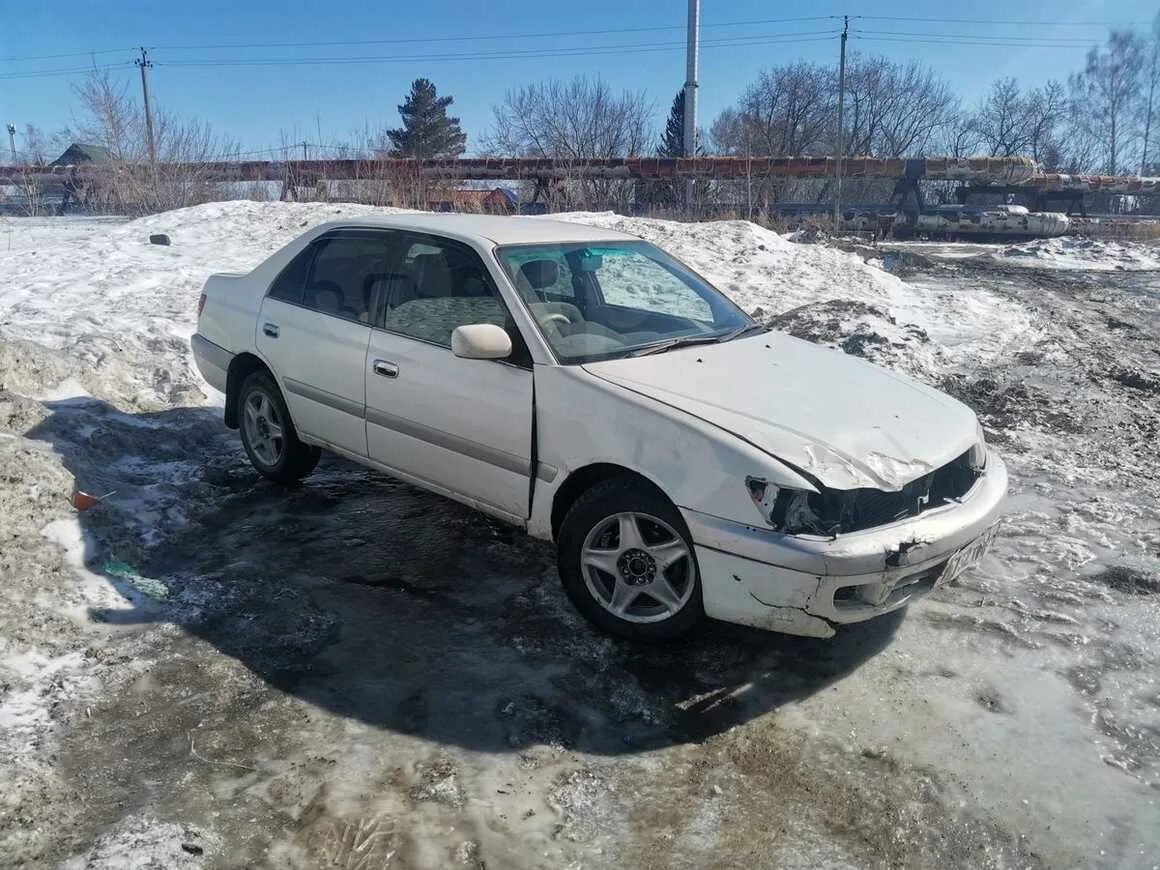 Toyota Corona правый руль. Пружины на тойоту корону Премио в Новосибирске. Тойота корона бензин автомата. Дром Новосибирская область.