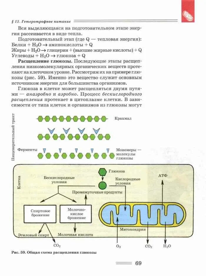 Петросова биология читать. Учебник Петросова биология. Биология 9 класс учебник Никишов. Учебник Петросова биология 10 класс. Теремов Петросова биология 9 класс.