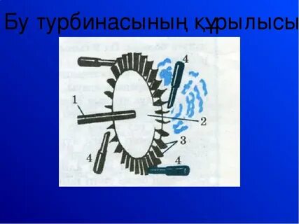 Сексуалдық деректі фильмді қараңыз