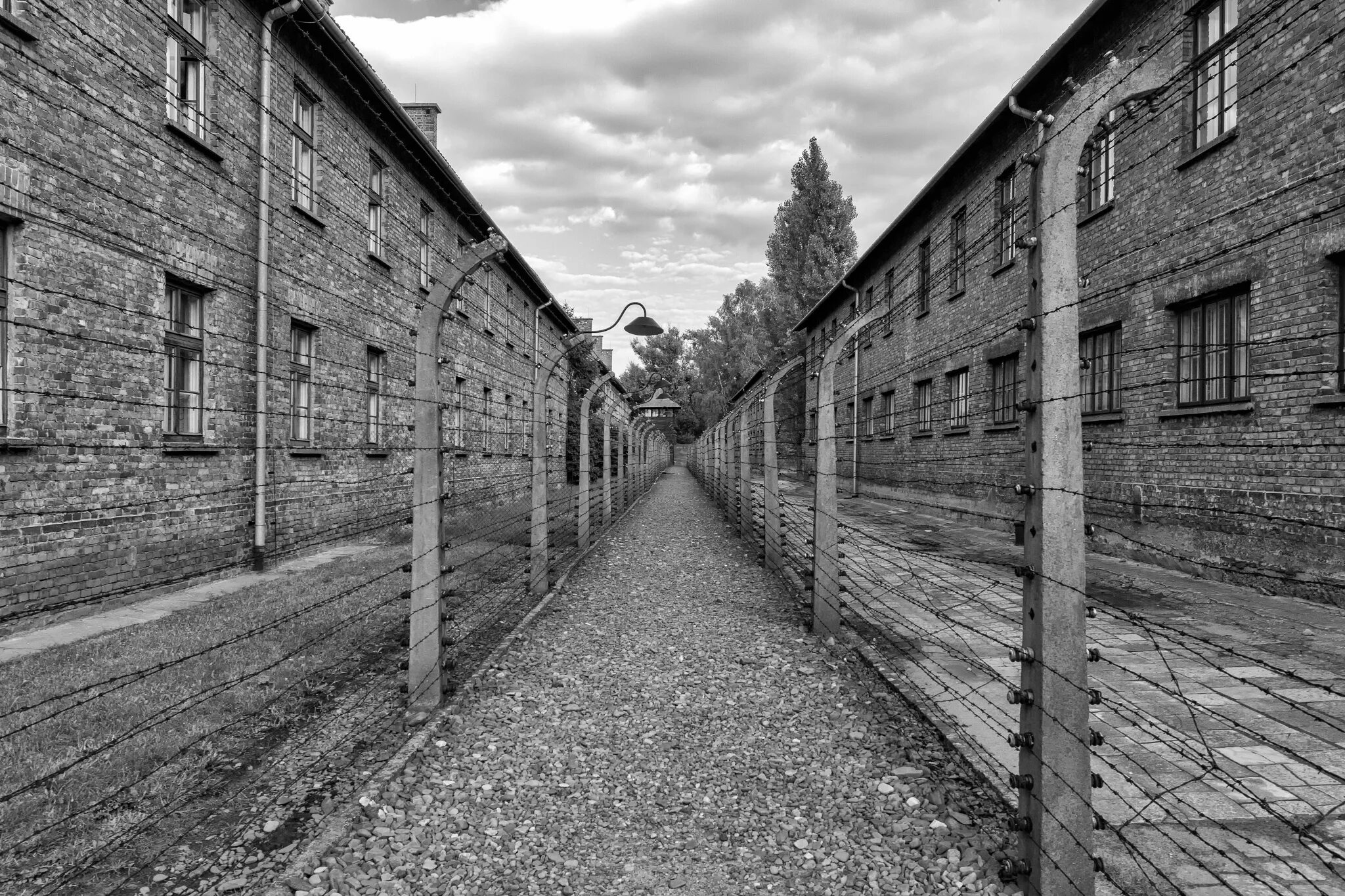 Concentration camp. Освенцим лагерь Биркенау. Аушвиц Освенцим 1952 панорама. Лагерь смерти Освенцима. Лагерь Аушвиц Польша.