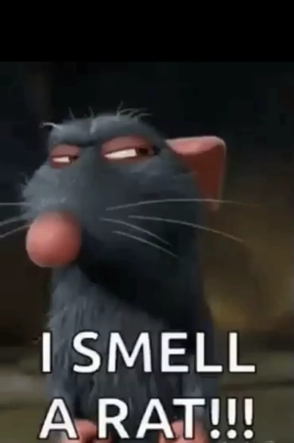 You are a rat. Рататуй. smell a rat. smell a rat идиома. to smell a rat.