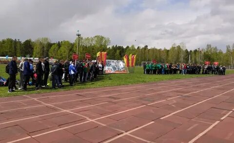 День павловска алтайский край