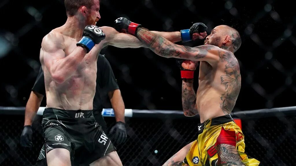 Ufc on espn прямая трансляция. Ufc on espn прямая трансляция