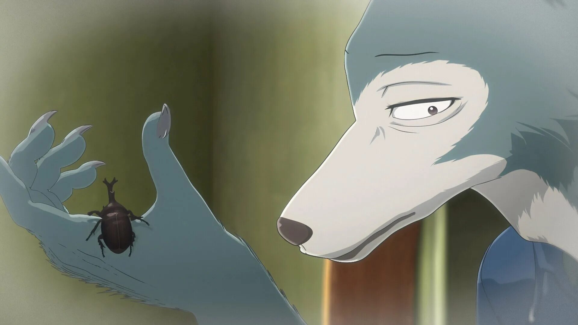 луис бистарс. аниме выдающиеся звери 3 сезон. выдающиеся звери арты. луис из beastars. Jutsu выдающиеся звери.