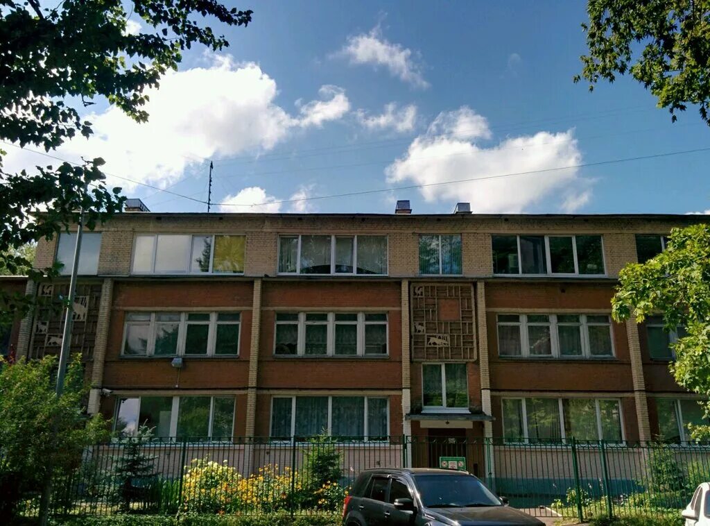 Сад 17 спб. Сад 17 спб