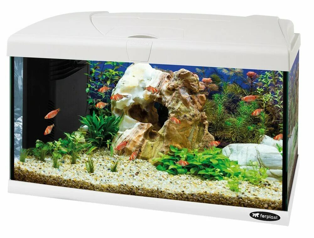 2 см. аквариум juwel 40 литров. фото белого аквариума. Aquael glossy 100. фото белого аквариума.