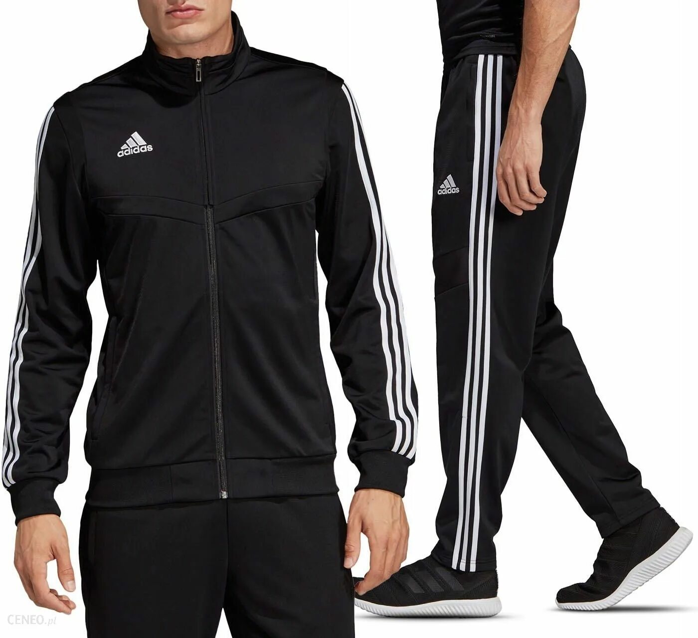 Купить мужской костюм adidas. Спортивный костюм adidas tiro 19. Adidas tiro спортивный костюм. Adidas tiro мужские костюмы спортивные. Tiro 19 adidas брюки.