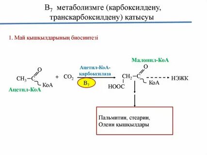 Түкірген лесбияндардың тілдері ағып жатыр