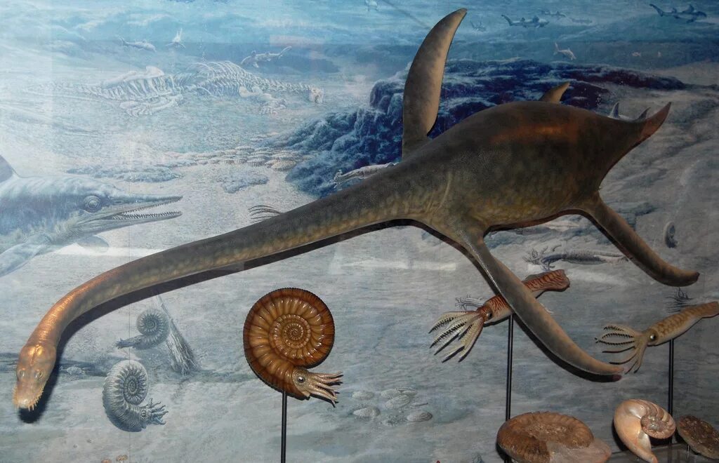 Ихтиозавр вторичноводный. Мезозойская Эра плезиозавры. Плезиозавры триаса. Плезиозавр Юрского периода. Реликтовый Плезиозавр.