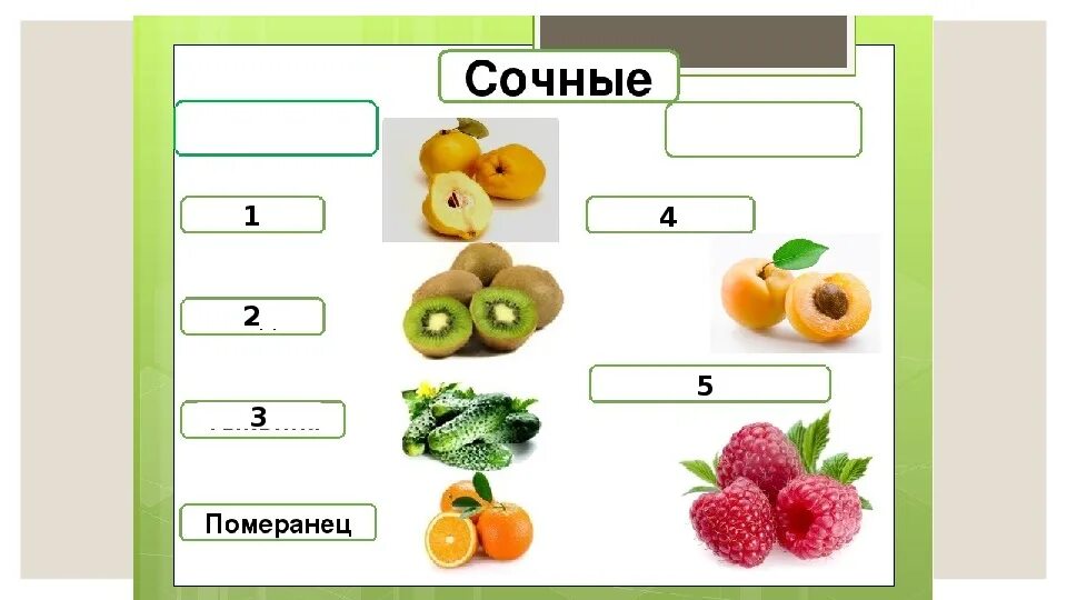 Тест ответами биология плод. Плоды задание. Плоды 6 класс. Плоды задание 6 класс. Типы плодов задания.