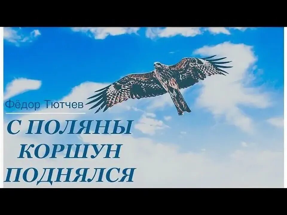 Ф и тютчев с поляну коршун. С Поляны Коршун поднялся Тютчев. Ф.Тютчева "с Поляны Коршун поднялся".. Стихотворение с Поляны Коршун поднялся.