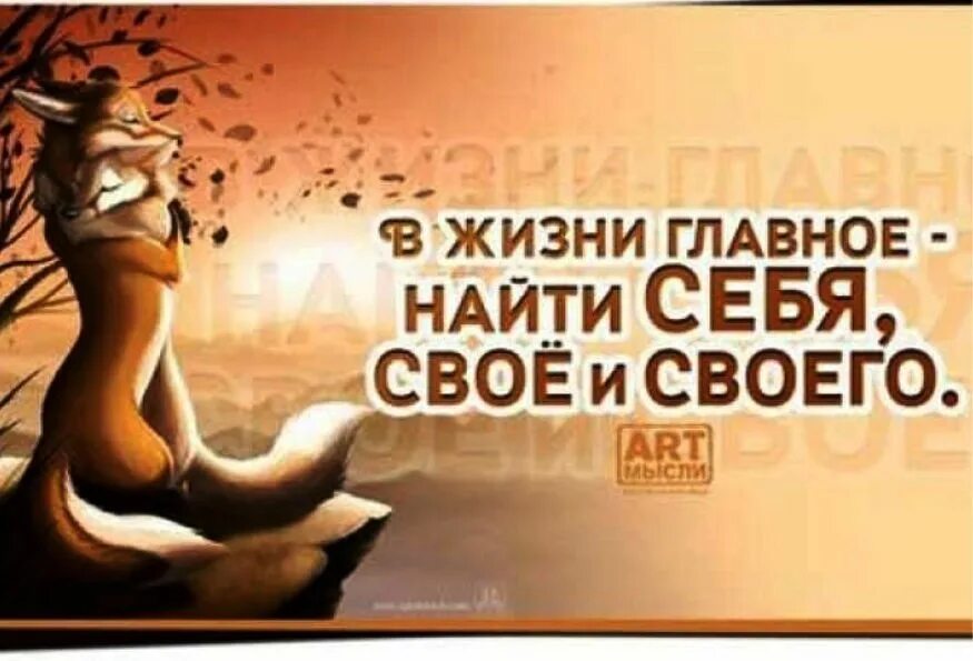 Найти своих и успокоиться. Главное в жизни найти своего. главное в жизни найти себя. мудрые мысли про жизнь в картинках с юмором. умные мысли с юмором и красивыми картинками.
