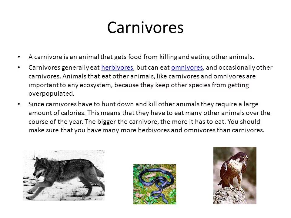 Carnivore перевод. Carnivore 1985. Carnivore Carnivore 1985. Описание Carnivore. Английский ICT what are Herbivores Carnivores and Omnivores.