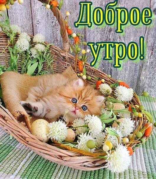 8 25 утра. Доброе утро 25 августа 2022. Доброе утро 25 июня 2023 года. Доброе утро 25 апреля 2023 год картинки красивые.