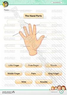 Hand name