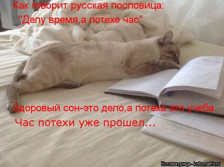 Когда так говорят работе время потехе час. Пословица делу время потехе час. делу время потехе час смысл пословицы. потешаться. картинка к пословице делу время потехе час.