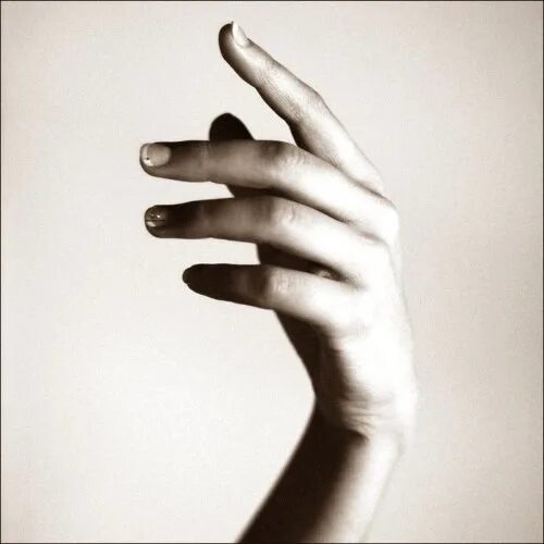 Тонкие запястья. Женская рука. Тип телосложения короткие конечности. Красивые женские руки. Тонкие запястья.