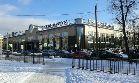 Планета нептун ул марата 86 фото