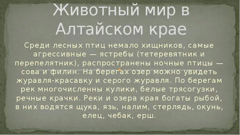 Мир алтайского края. Животный мир в алтайском крае доклад. сообщение о животном мире алтайского края. сообщение о животных алтайского края. сообщение о животных алтайского края 4 класс.
