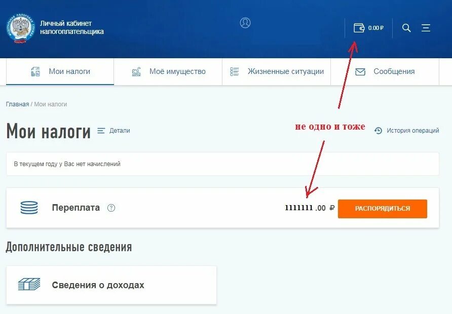 Личный кабинет. Мои декларации в личном кабинете. Личный кабинет налогоплательщика. Декларация через личный кабинет.