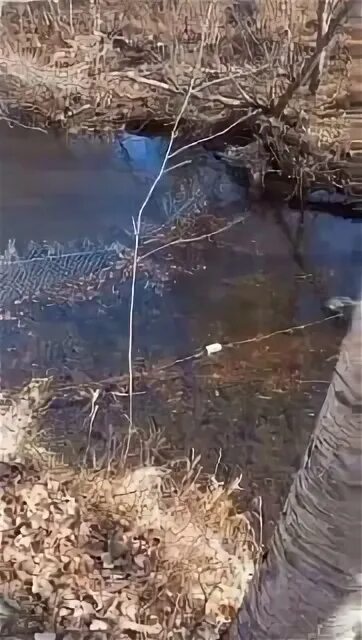 Рыба в садке. Дорога на заводе. Река сетка. Рыбацкая сеть. Фото заставка з д.