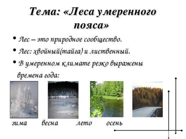 Климат лиственных лесов умеренных поясов. Презентация на тему леса умеренного пояса. Леса умеренного пояса 8 класс. Леса умеренного пояса 8 класс география. География леса умеренного пояса 8 класс презентация.